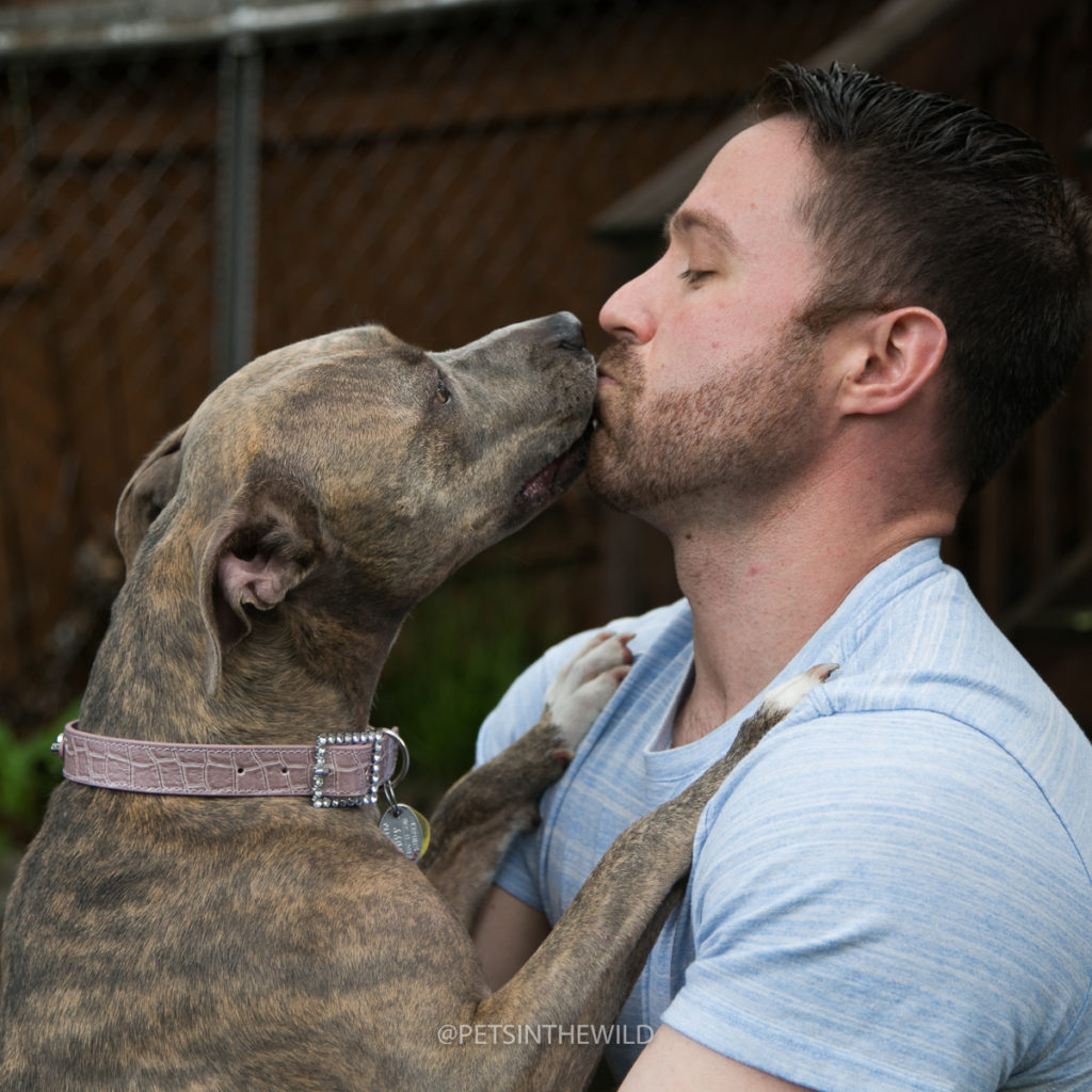 Dog Photography by Pets in the Wild