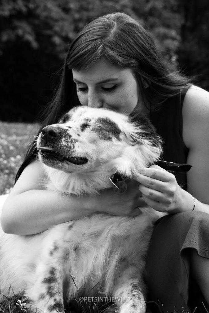 Dog Photography by Pets in the Wild