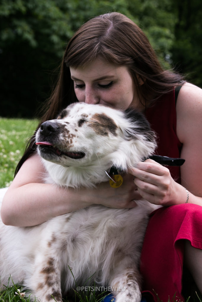 Dog Photography by Pets in the Wild