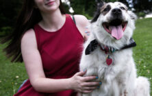 Dog Photography portrait of an Australian Shepherd by Dog Photographer, Pets in the Wild Photography