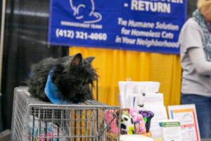 05- Pittsburgh Pet Expo by Pets in the Wild PHotography -IMG_8271_