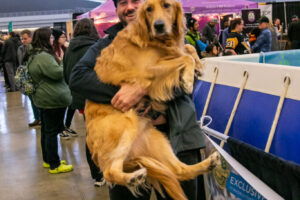 Dog at the Pittsburgh Pet Expo trade show