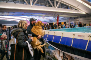 Dog at the Pittsburgh Pet Expo trade show