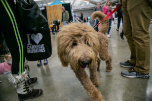 Dog at the Pittsburgh Pet Expo trade show