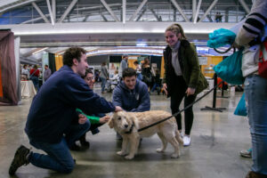 Dog at the Pittsburgh Pet Expo trade show