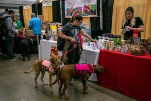 Dog at the Pittsburgh Pet Expo trade show