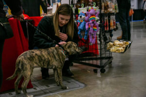 27- Pittsburgh Pet Expo by Pets in the Wild PHotography -_MG_8521_