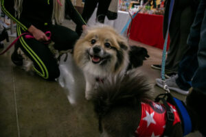 29- Pittsburgh Pet Expo by Pets in the Wild PHotography -_MG_8538_