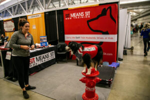 Dog at the Pittsburgh Pet Expo trade show