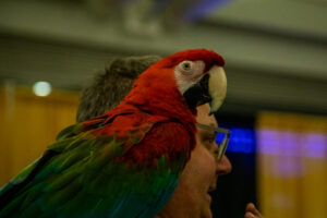 Parrot at the Pittsburgh Pet Expo trade show