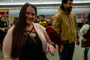 Parrot at the Pittsburgh Pet Expo trade show