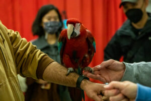 Parrot at the Pittsburgh Pet Expo trade show