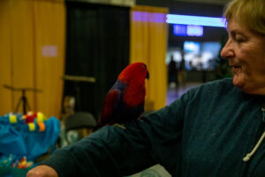 Parrot at the Pittsburgh Pet Expo trade show