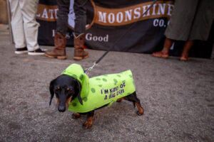 01- pups - Picklesburgh 2023 - Heather Schor Photography -Picklesburg 2023 - 6