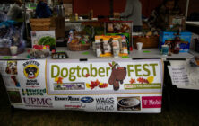 Dogtoberfest Pittsburgh - Waterfront - Pets in the Wiild photography - Dogtober at Waterfront - Pittsburgh - Oct 2023-5R1A3196