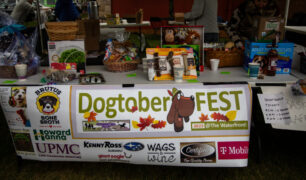 Dogtoberfest Pittsburgh - Waterfront - Pets in the Wiild photography - Dogtober at Waterfront - Pittsburgh - Oct 2023-5R1A3196