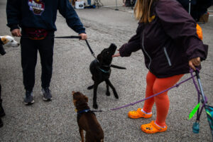 Dogtoberfest Pittsburgh - Waterfront - Pets in the Wiild photography - Dogtober at Waterfront - Pittsburgh - Oct 2023-5R1A3208