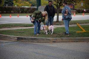 Dogtoberfest Pittsburgh - Waterfront - Pets in the Wiild photography - Dogtober at Waterfront - Pittsburgh - Oct 2023-5R1A3330