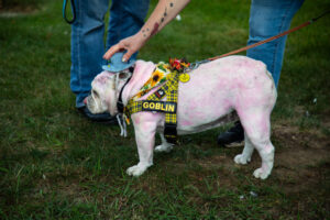 Dogtoberfest Pittsburgh - Waterfront - Pets in the Wiild photography - Dogtober at Waterfront - Pittsburgh - Oct 2023-5R1A3333