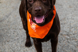 Dogtoberfest Pittsburgh - Waterfront - Pets in the Wiild photography - Dogtober at Waterfront - Pittsburgh - Oct 2023-5R1A3380