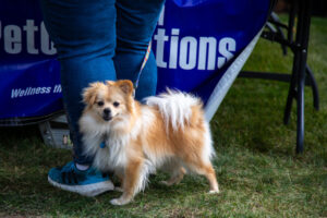 Dogtoberfest Pittsburgh - Waterfront - Pets in the Wiild photography - Dogtober at Waterfront - Pittsburgh - Oct 2023-5R1A3462