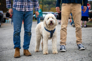 Dogtoberfest Pittsburgh - Waterfront - Pets in the Wiild photography - Dogtober at Waterfront - Pittsburgh - Oct 2023-5R1A3562