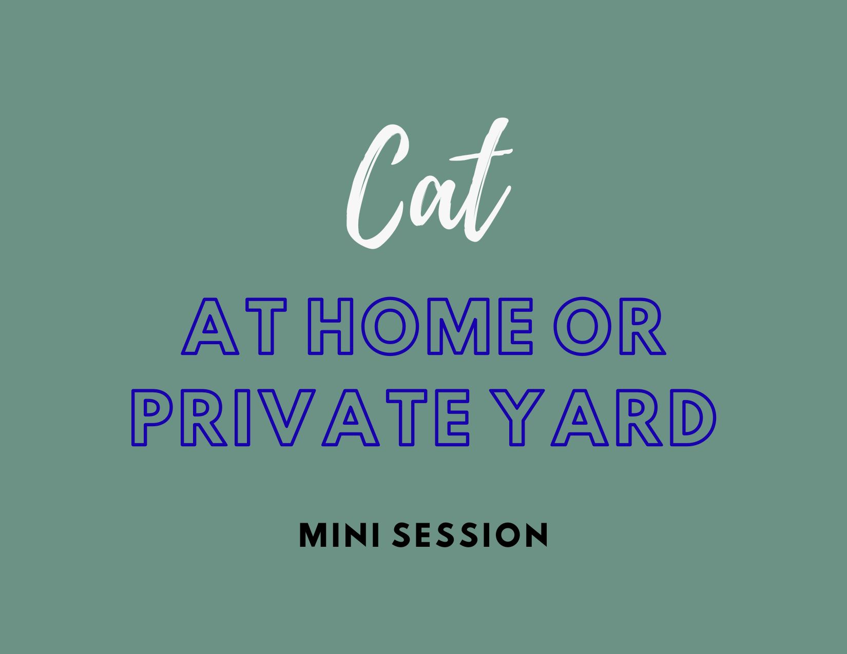 Cat At Home Pet Portrait session - Pets in the Wild Photography