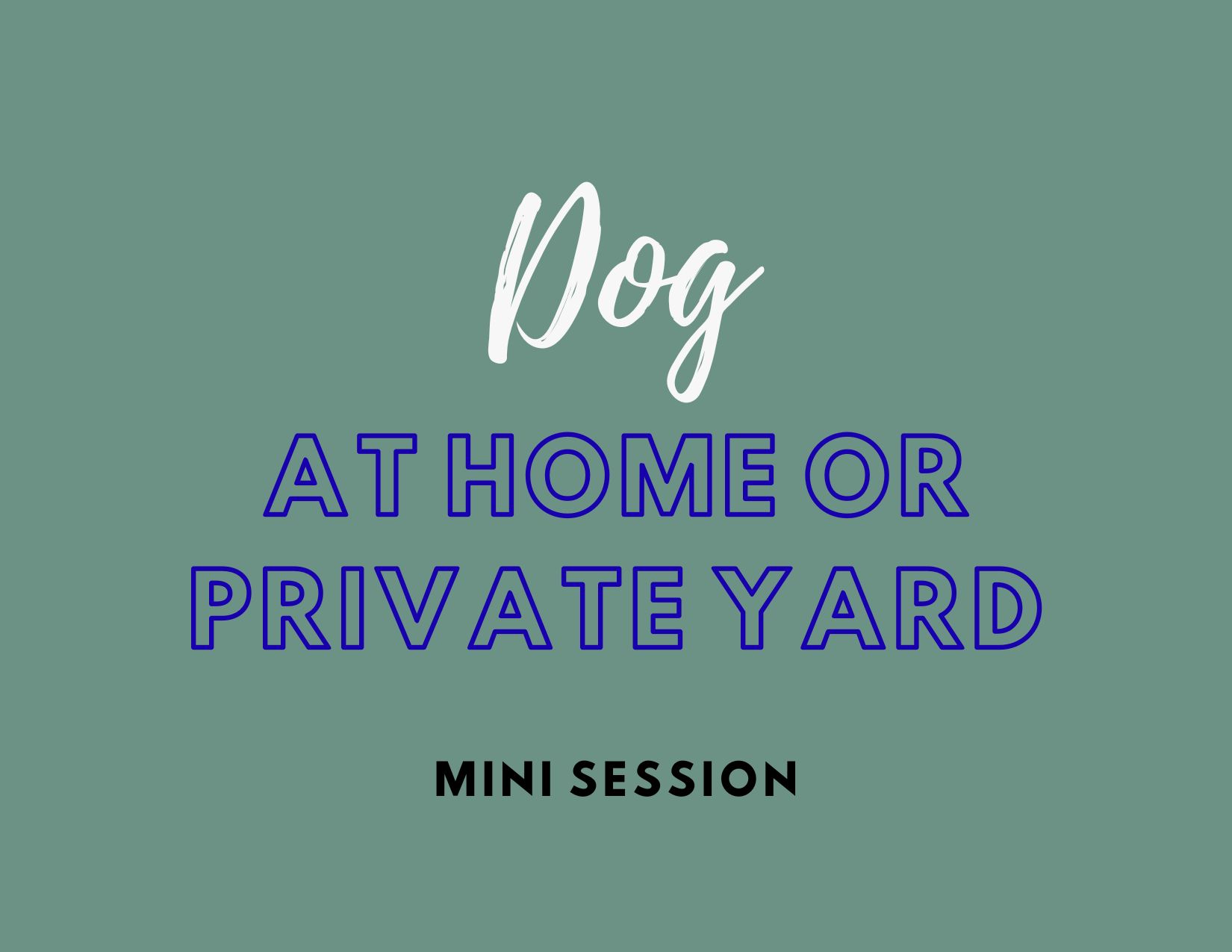 Dog At Home Pet Portrait session - Pets in the Wild Photography