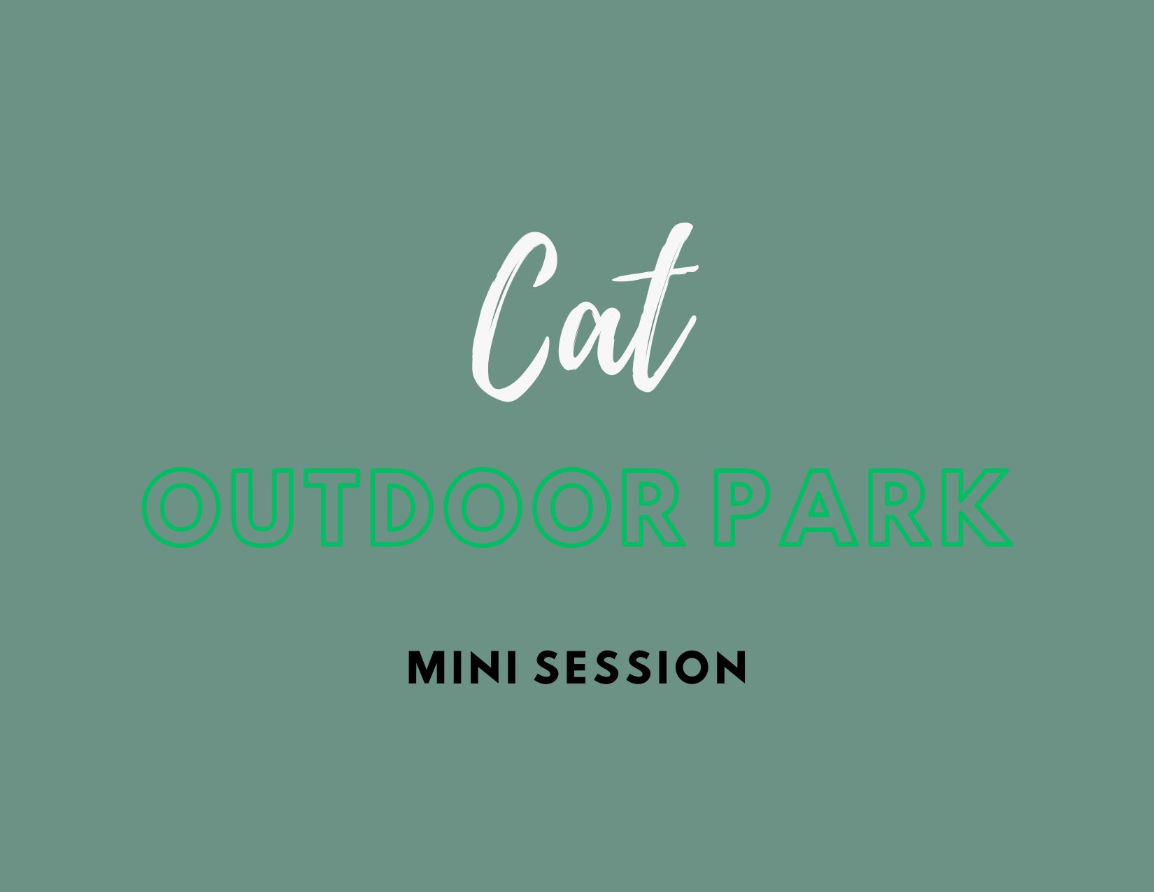 cat Outdoor Park - Pets in the Wild Photography