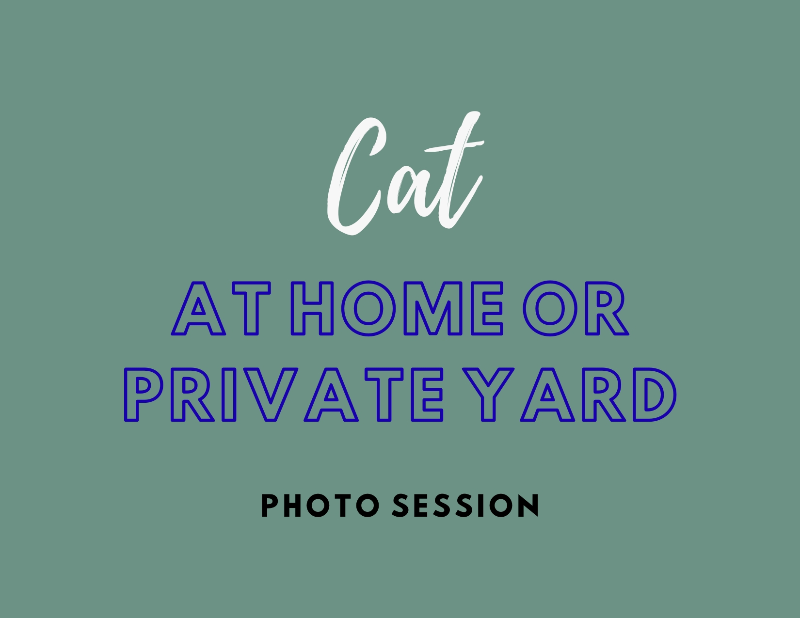 Cat At Home Pet Portrait session - Pets in the Wild Photography