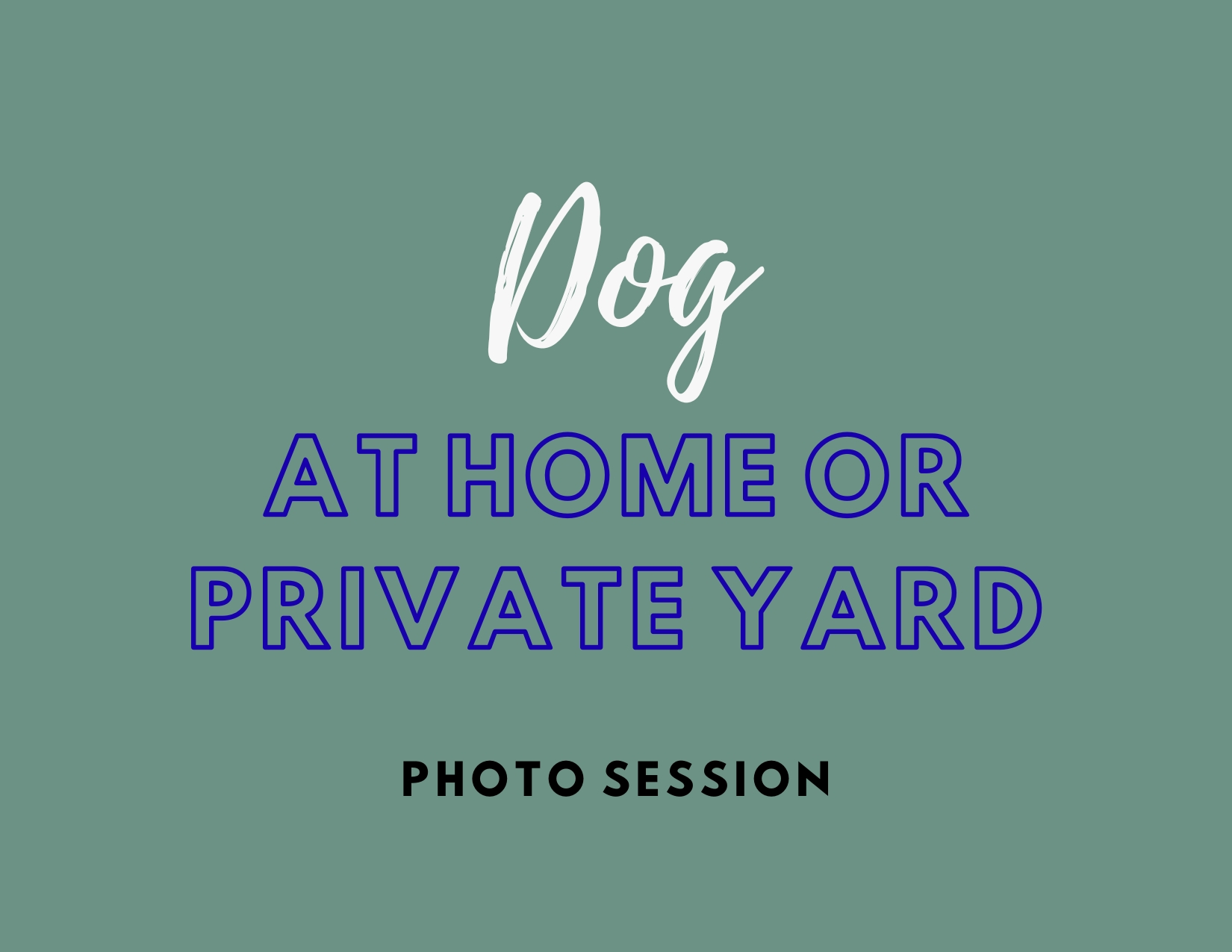 Dog At Home Pet Portrait session - Pets in the Wild Photography