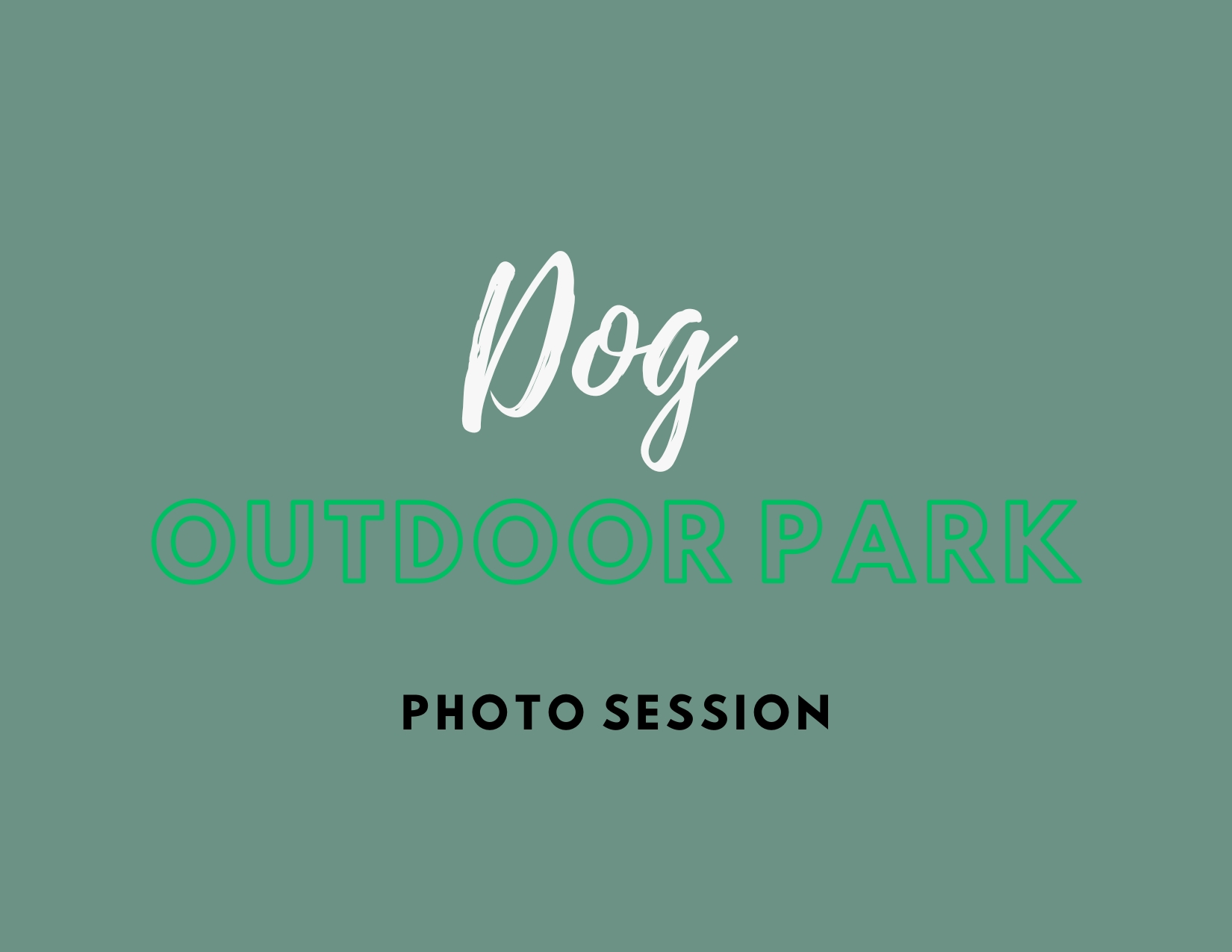 Pittsburh Dog Park - Pets in the Wild Photography
