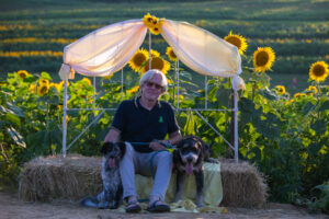 Sunflower - Heather Schor Photo - 5R1A8170 Sunflower - Heather Schor Photo - 5R1A8170