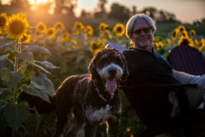 Sunflower - Heather Schor Photo - 5R1A8491 Sunflower - Heather Schor Photo - 5R1A8491